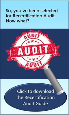 AACE Audit Guide
